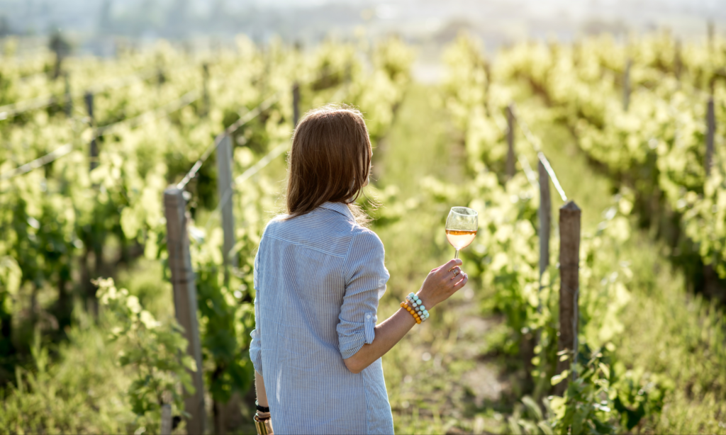 Degustação de vinho em vinícolas espetaculares na região de Punta del Este.