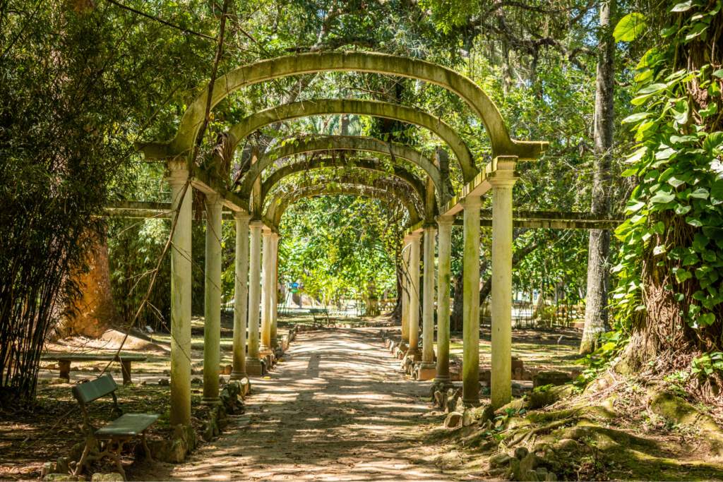 Conhecido pela sua coleções de plantas, o Jardim Botânico foi fundado em 1808, pelo então príncipe regente português, Dom João VI.