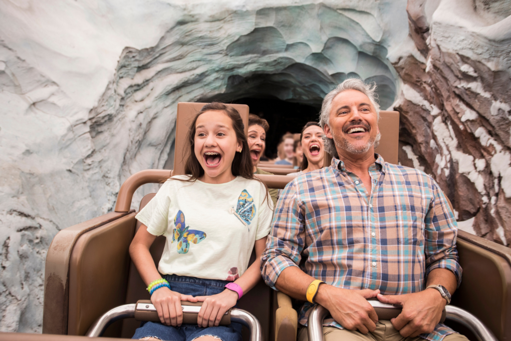 Expedition Everest - Legend of the Forbidden Mountain, no Animal Kingdom.