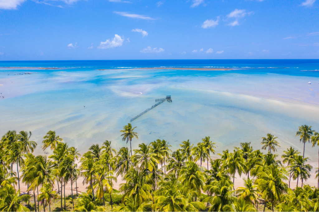 Como chegar em São Miguel, no Alagoas