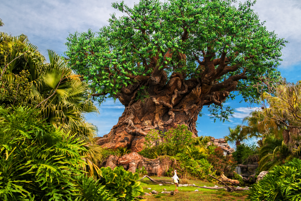 Entenda os ingressos Disney e conheça o Animal Kingdom.