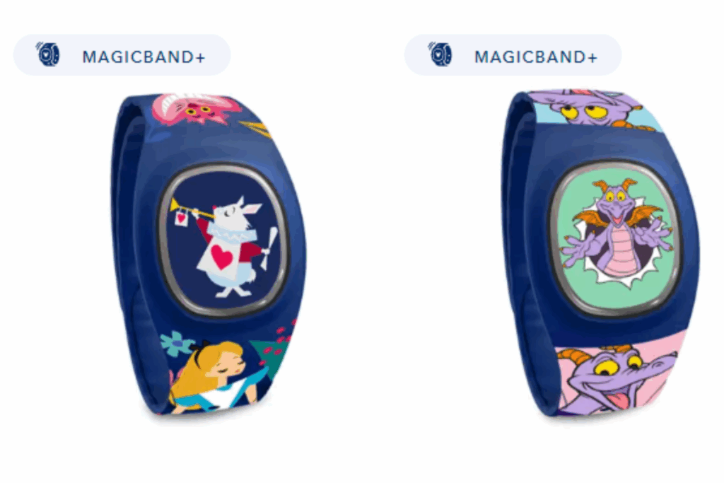 Conheça a MagicBand+