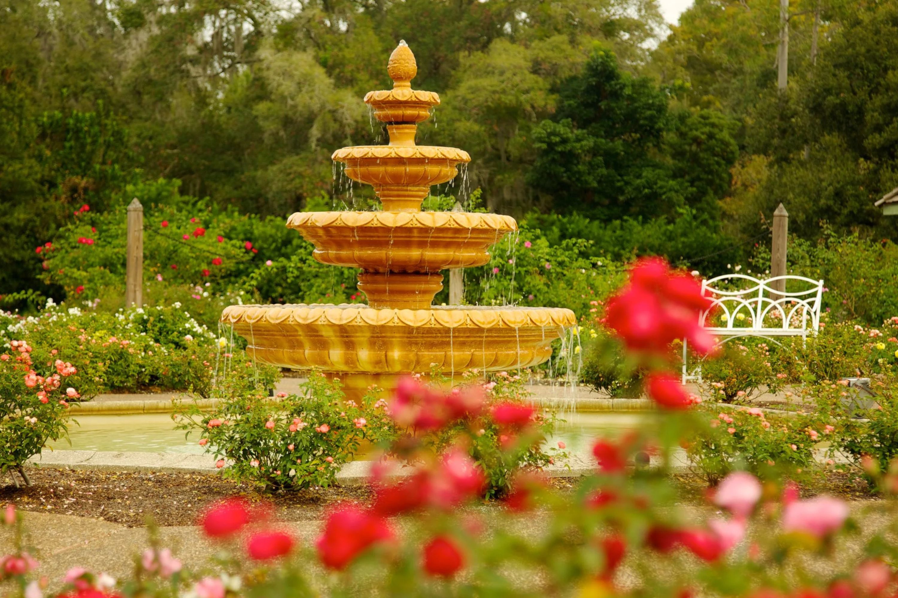 Outro passeio relaxante em Orlando são os Jardins de Harry P. Leu.