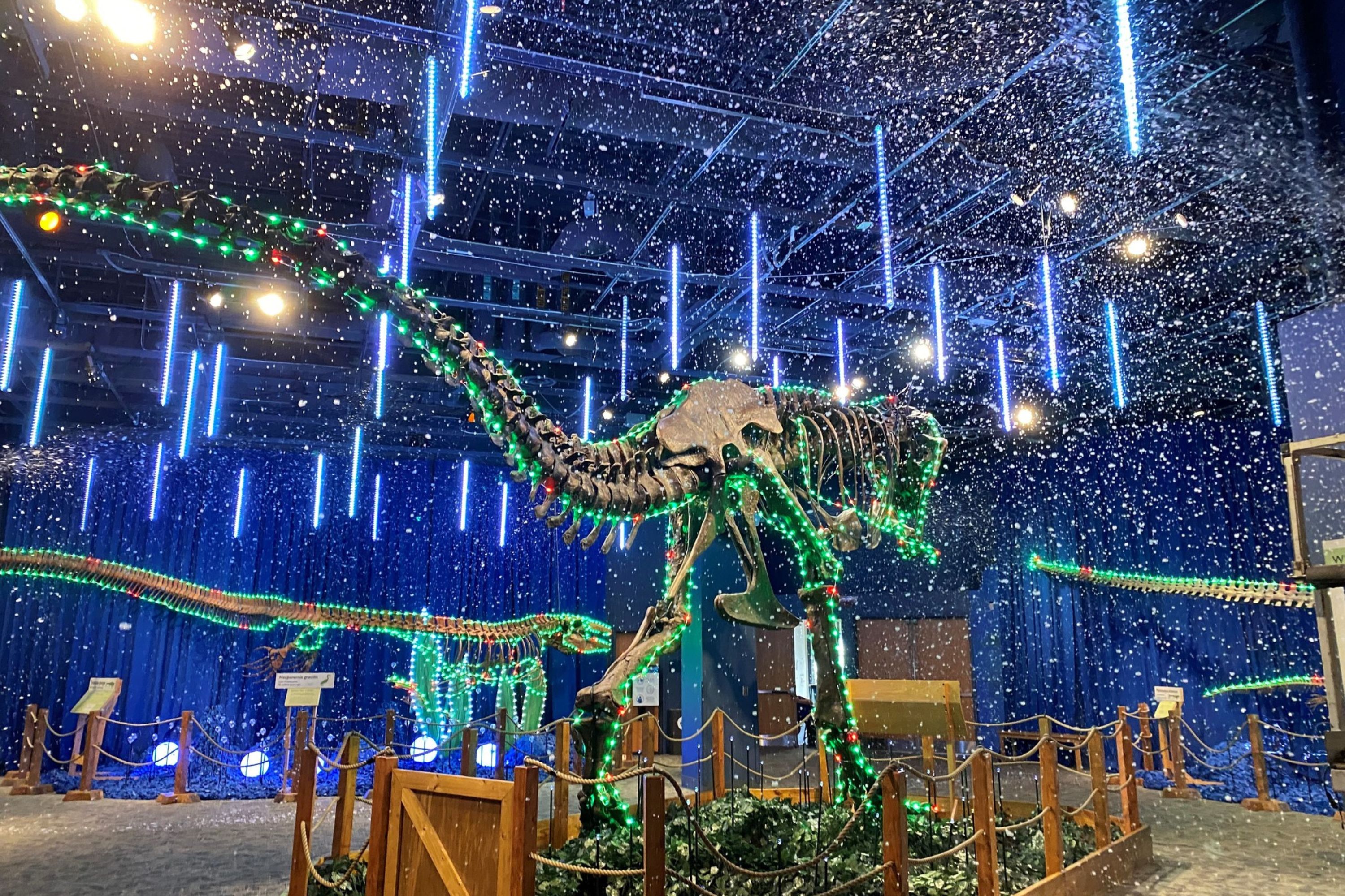 O Orlando Science Center é um programa divertido para as famílias.