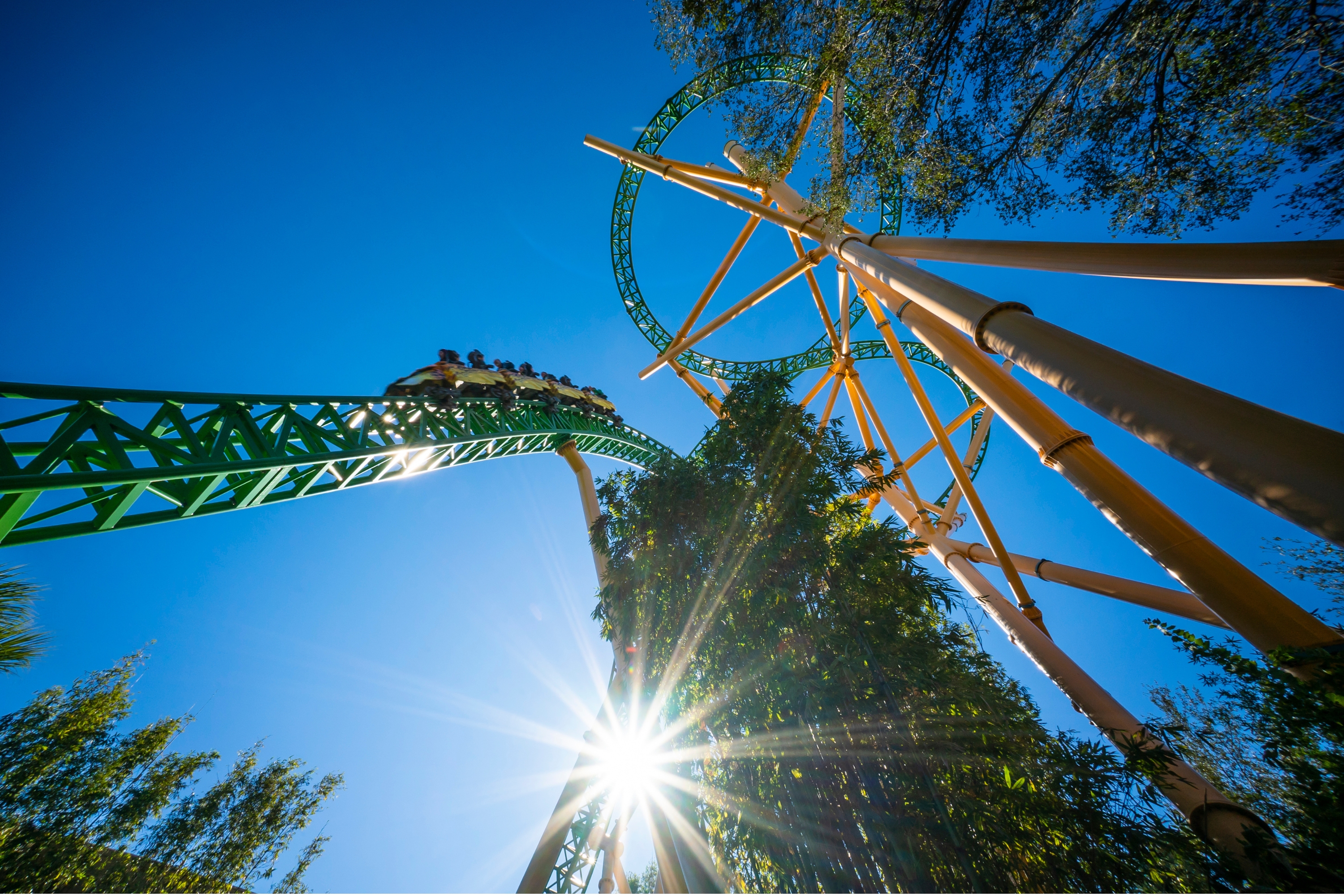 A Cheetah Hunt é uma atração clássica no Busch Gardens.