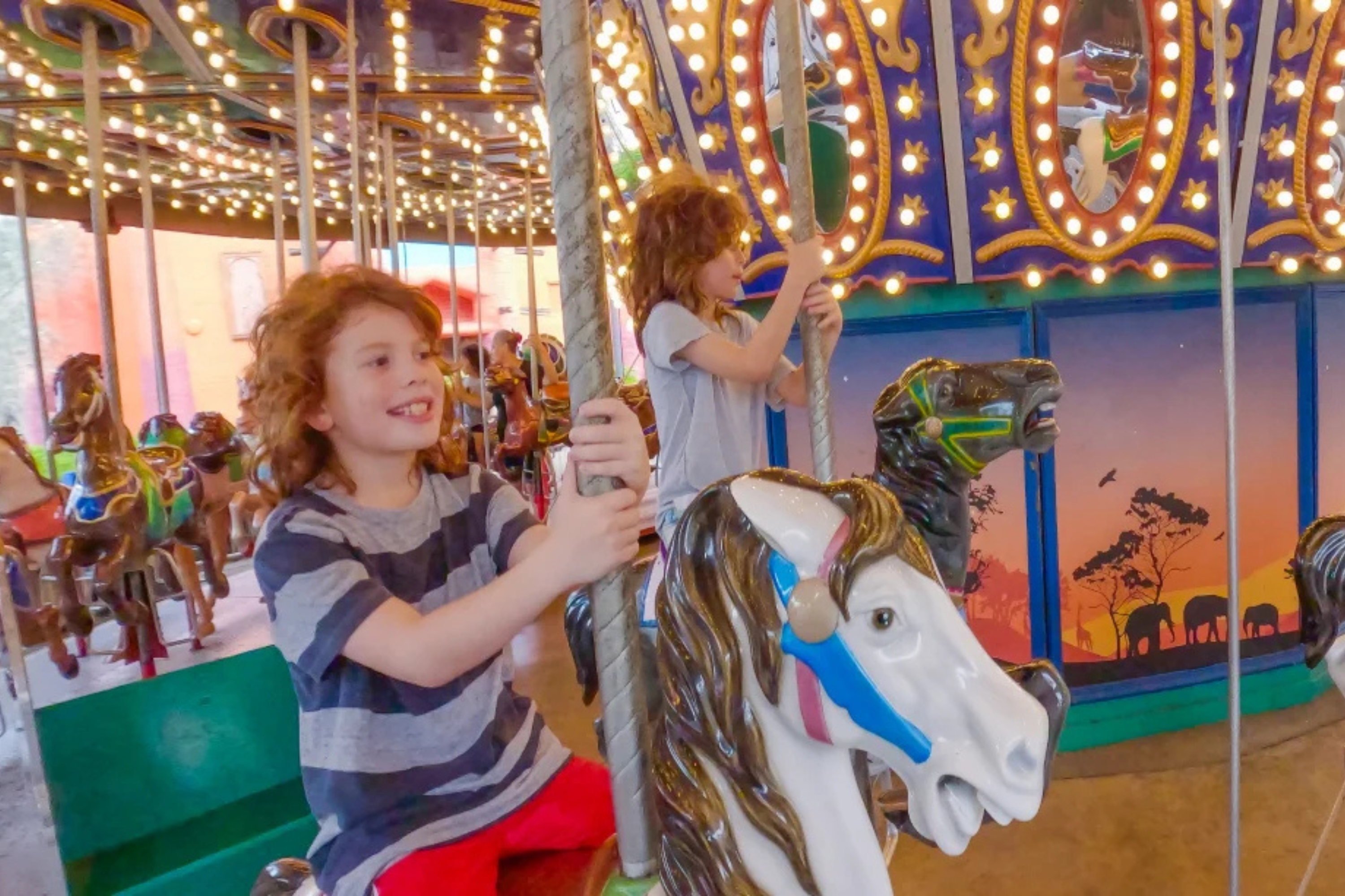 O Grand Caravan Carousel é uma atração infantil no Busch Gardens.