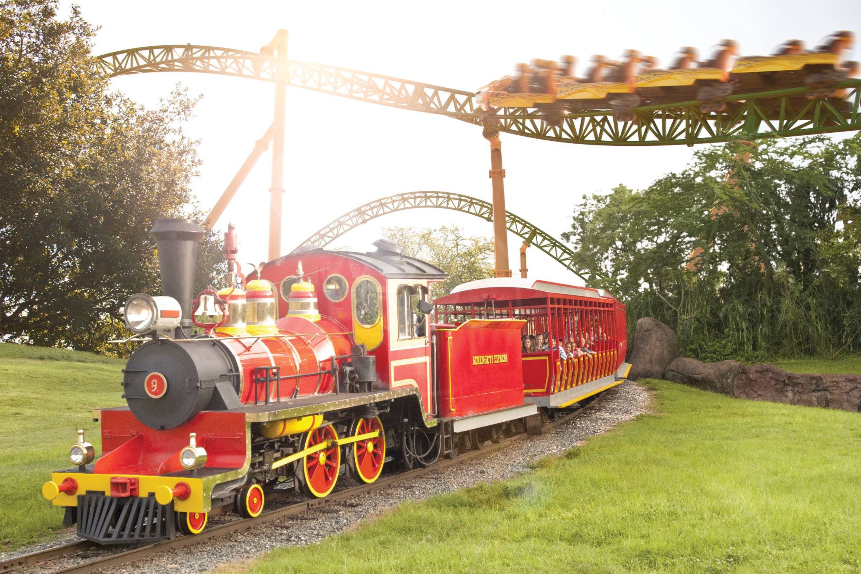 Passeie pelo Busch Gardens e veja animais a bordo do Serengeti Express.