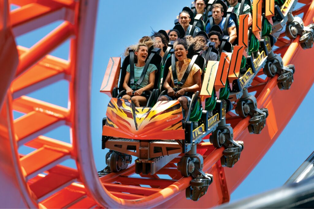 Com lançamentos para frente e para trás, a Tigris é uma das montanhas-russas queridinhas do Busch Gardens.