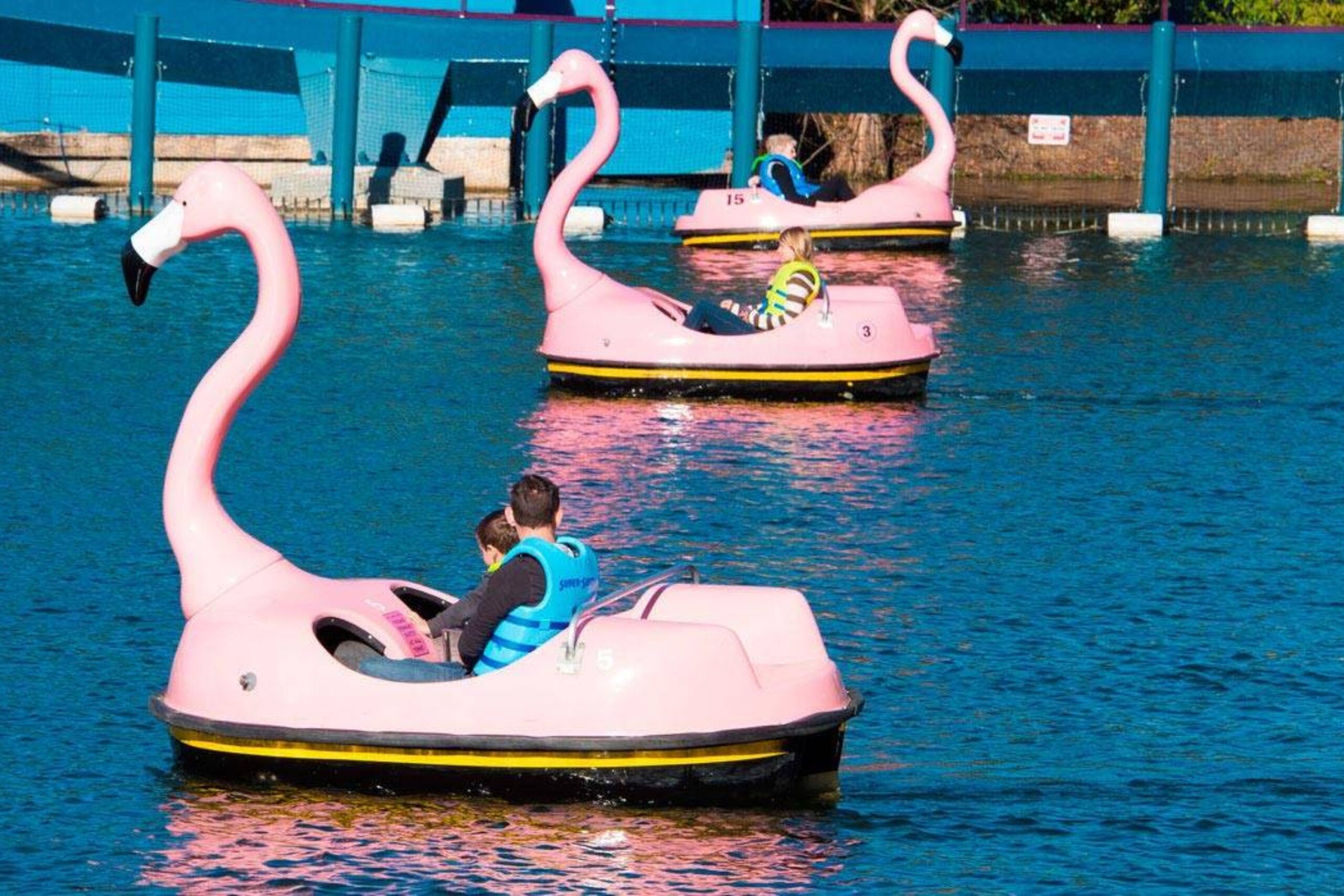 Paddle Boats (pedalinho) no SeaWorld Orlando.