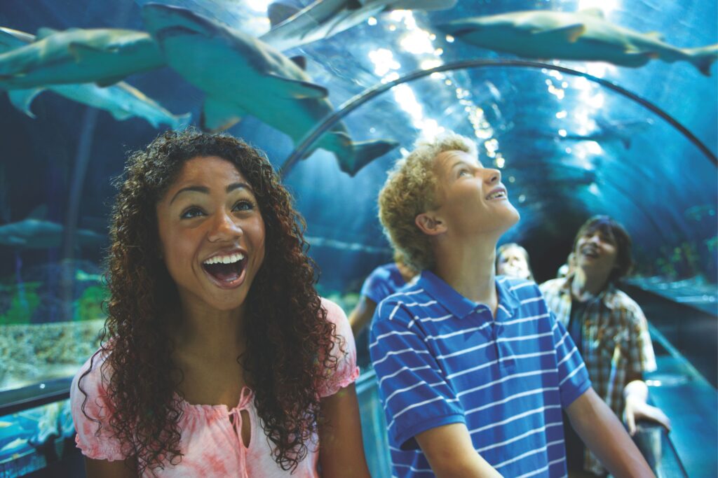 O SeaWorld Orlando oferece várias possibilidades de encontro com animais.