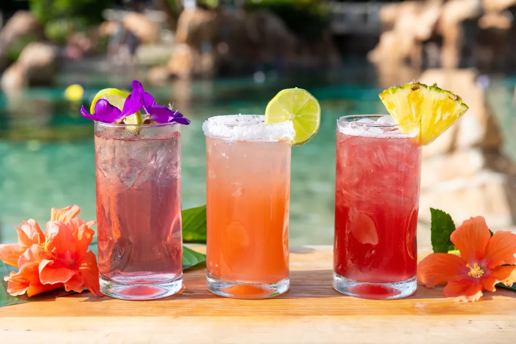 O Discovery Cove oferece um pacote de bebidas premium para quem quer degustar coquetéis e outras opções alcoólicas.