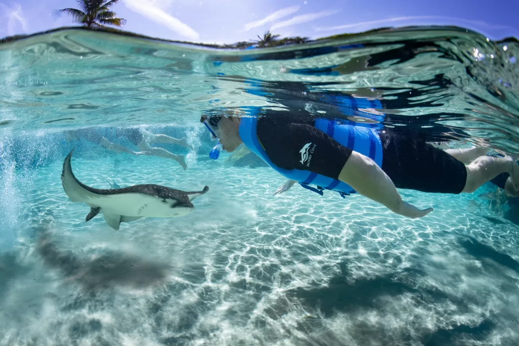 No Grand Reef, você mergulha em um recife de corais e nada ao lado de peixinhos coloridos.