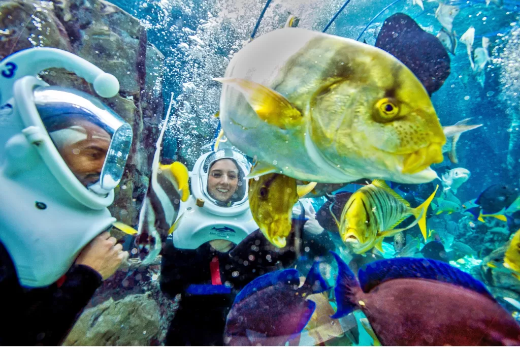 Mergulhe de escafandro nas águas do Discovery Cove.