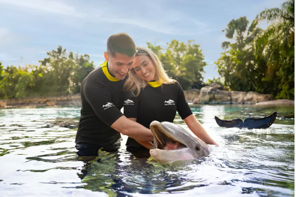 Um dos grandes destaques do Discovery Cove é o nado com golfinhos!