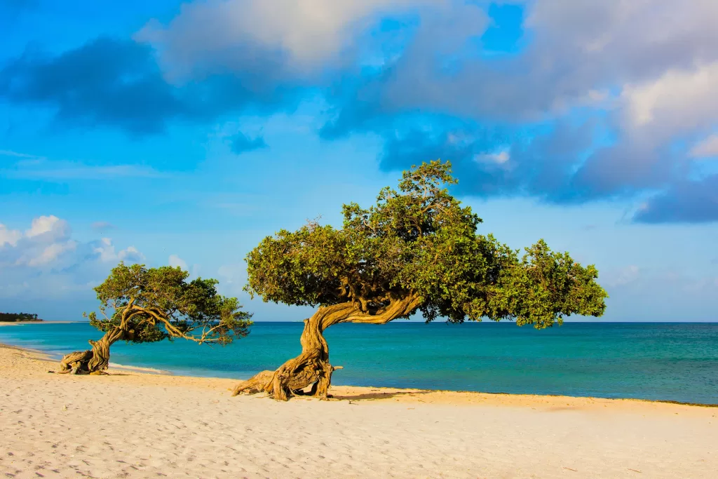Eagle Beach é uma região mais tranquila, mas que também conta com boas opções de hotéis e pousadas.