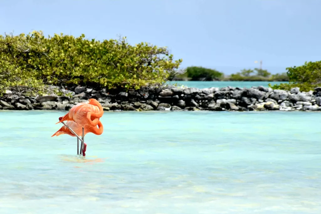 Bonaire é uma das três ilhas que formam o ABC do Caribe.