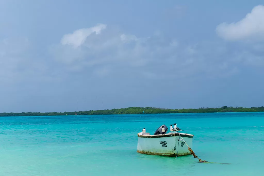 Saiba quando ir para Bonaire com as dicas da VMZ!