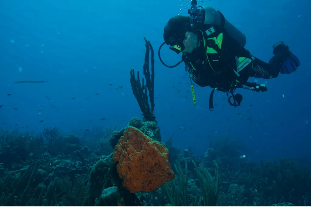 Bonaire é um paraíso no Caribe para quem gosta de praticar mergulho e snorkel.