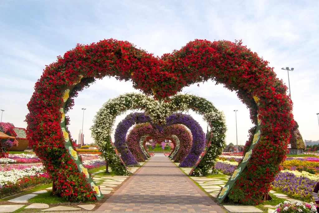 Dubai Miracle Garden, em Dubai.