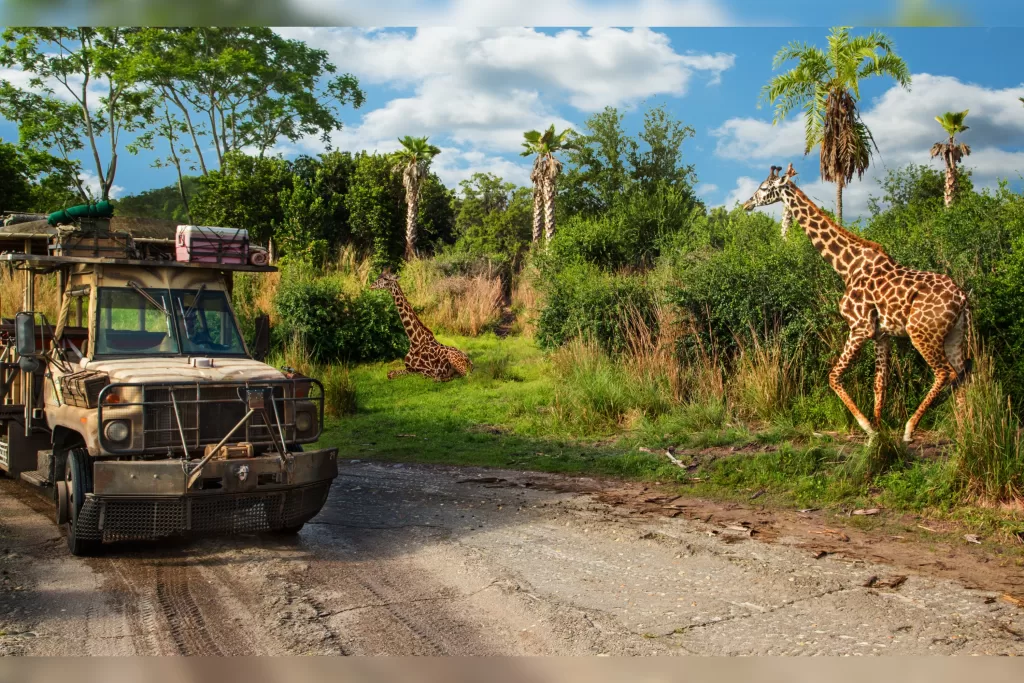 O Kilimanjaro Safari leva você em um safari pelo Animal Kingdom.