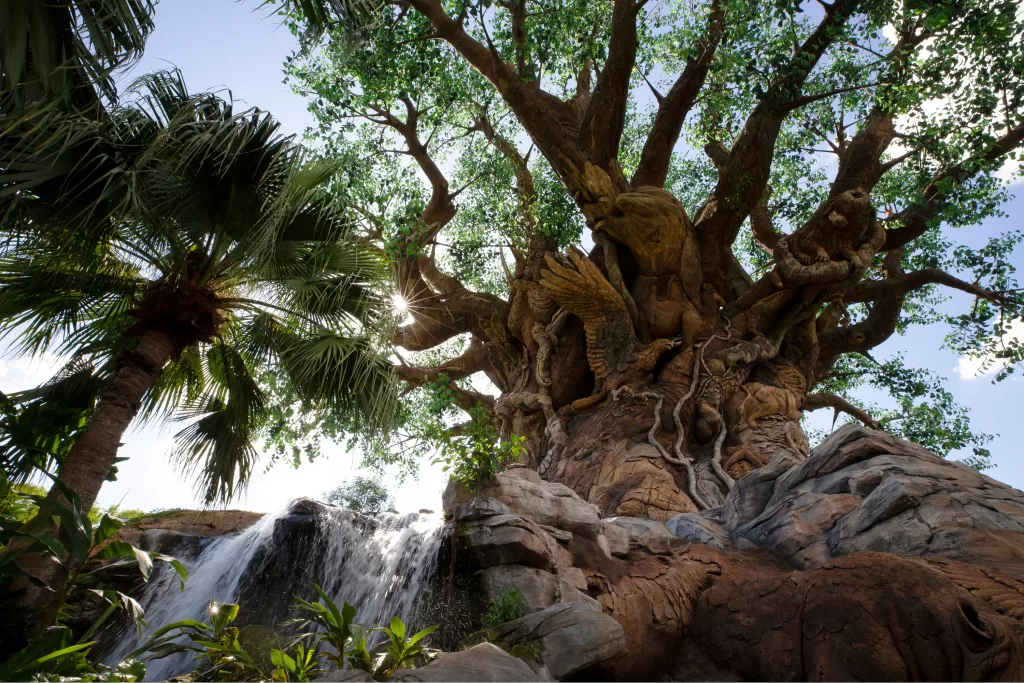 O Animal Kingdom foi inagurado no dia 22 de abril de 1998, no Dia Mundial da Terra.
