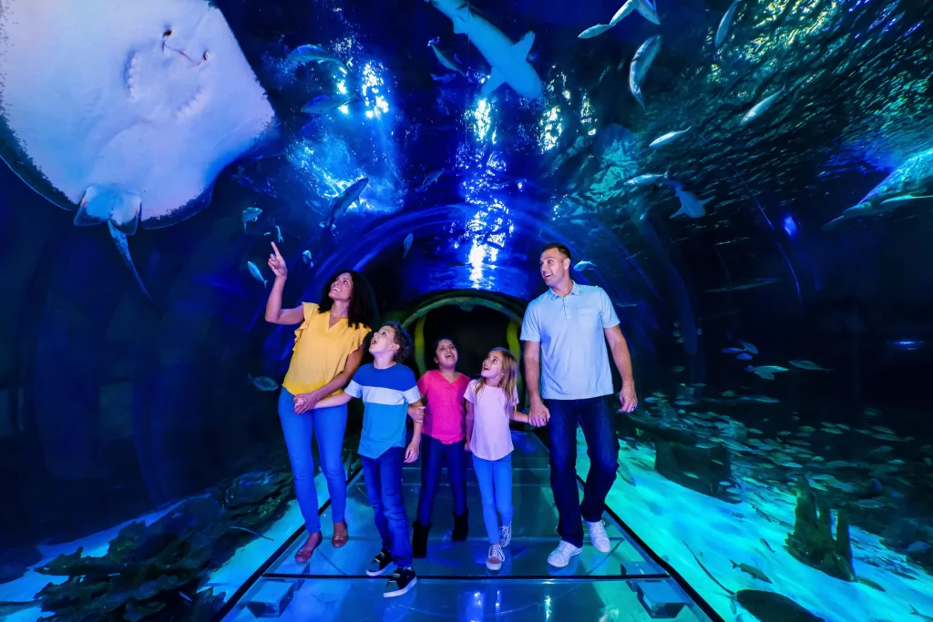 No ICON Park tem um aquário chamado Sea Life.