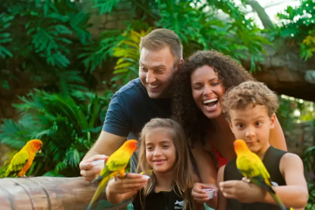 Saiba as regras do Discovery Cove sobre levar comida de fora para os parques.