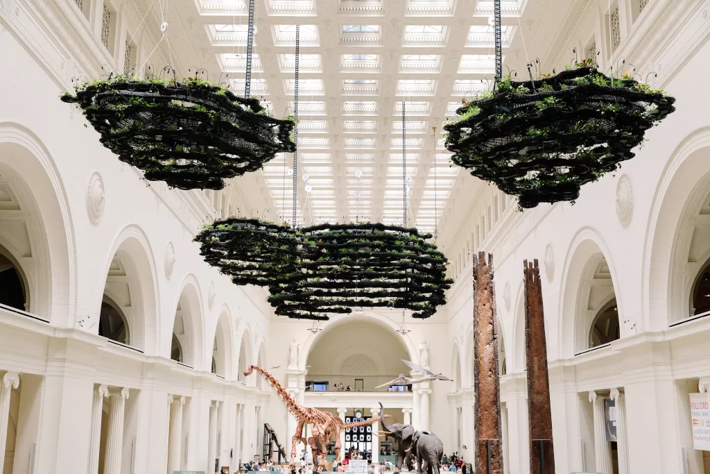 O Field Museum é um passeio divertido com crianças em Chicago.