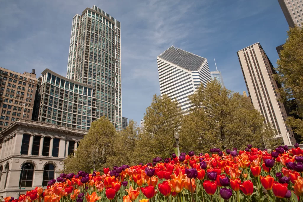A partir de maio, o clima em Chicago fica mais agradável. Saiba o que fazer na cidade nos meses da estação.
