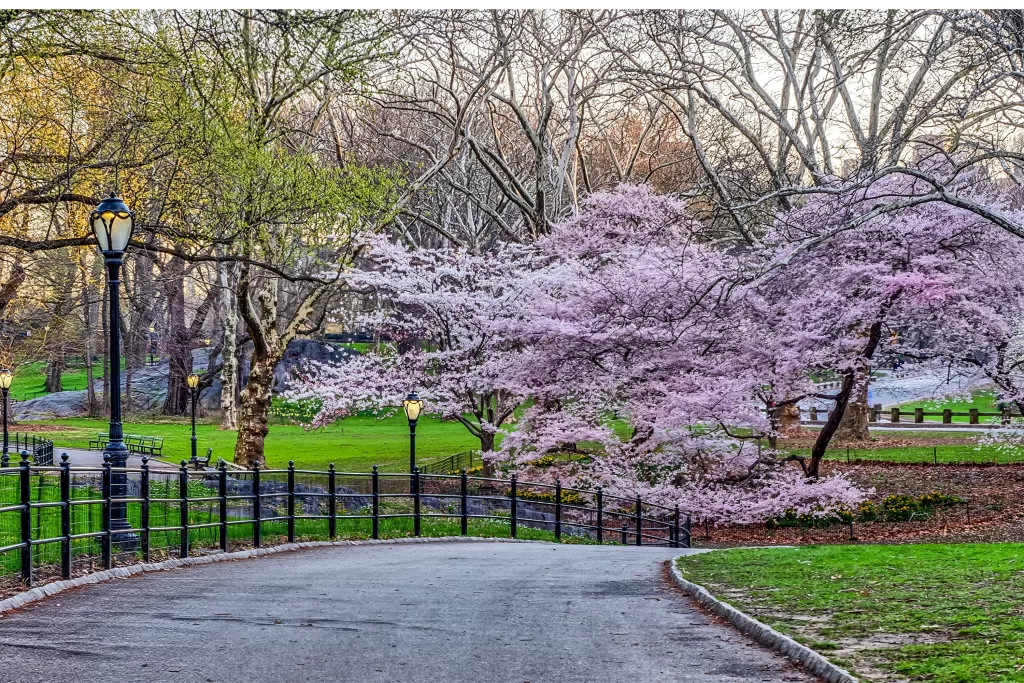 Na primavera, as temperaturas começam a subir em Nova York, ficando bem mais agradáveis em maio.