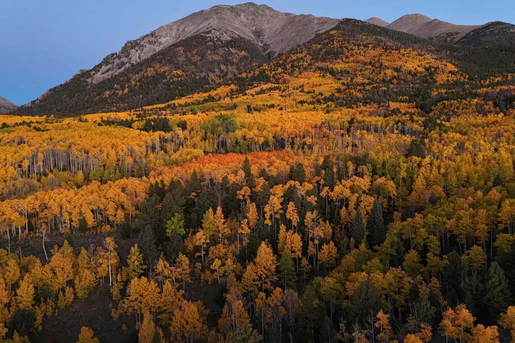 O outono transforma Aspen em um espetáculo de cores. 
