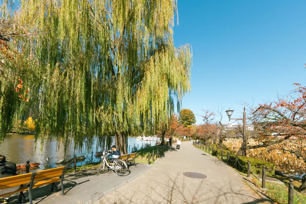 O parque Ueno é um dos parques mais tradicionais da cidade, abriga museus, zoológico e áreas verdes. Na primavera, fica especialmente bonito com as cerejeiras floridas.