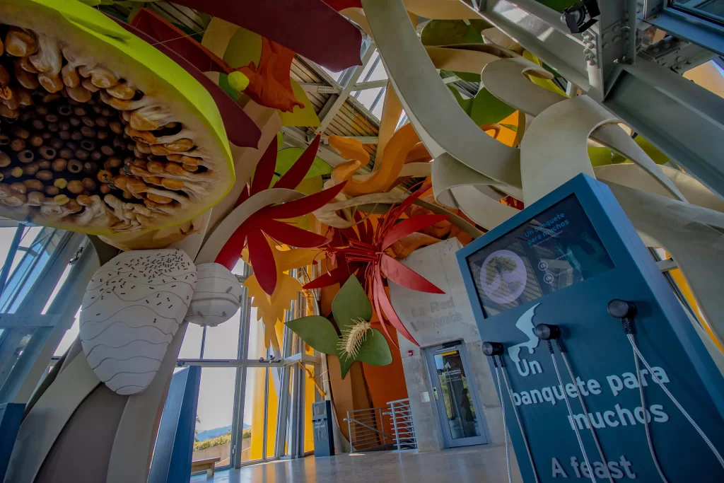 Projetado pelo renomado arquiteto Frank Gehry, o Biomuseo é um dos marcos culturais da Cidade do Panamá. 