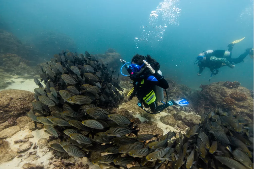 O Panamá oferece uma diversidade de passeios e experiências. Veja algumas das sugestões da VMZ Viagens.