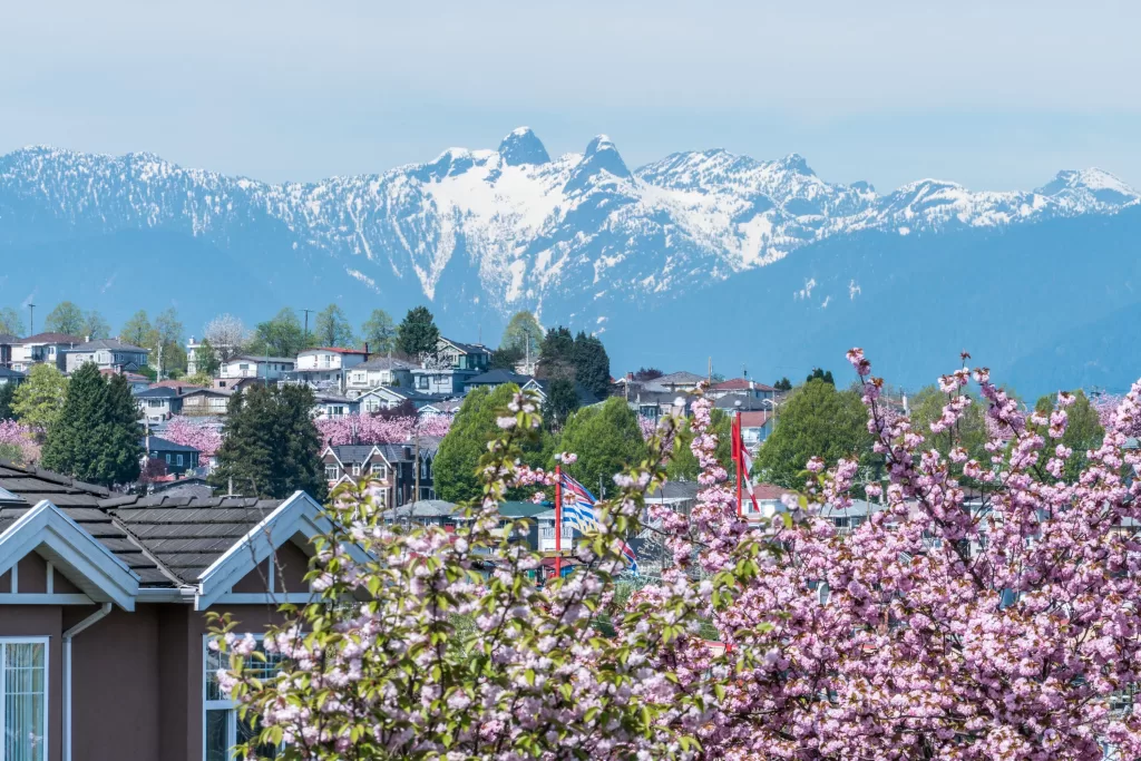 A primavera é uma das melhores épocas para ir a Vancouver – e uma das mais bonitas, com as cerejeiras florescendo por toda a cidade. 