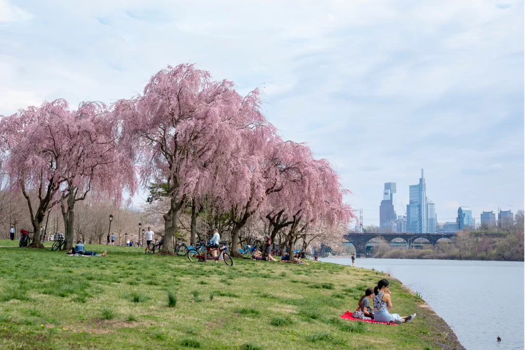 Na primavera, as temperaturas sobem gradualmente (entre 5°C e 18°C) na Filadélfia, e o clima fica mais ameno. Embora o início da estação ainda seja frio, os dias ficam agradáveis conforme maio se aproxima. 